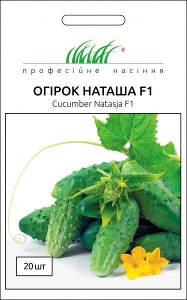 Семена Професійне насіння огурец Наташа F1 20 шт.