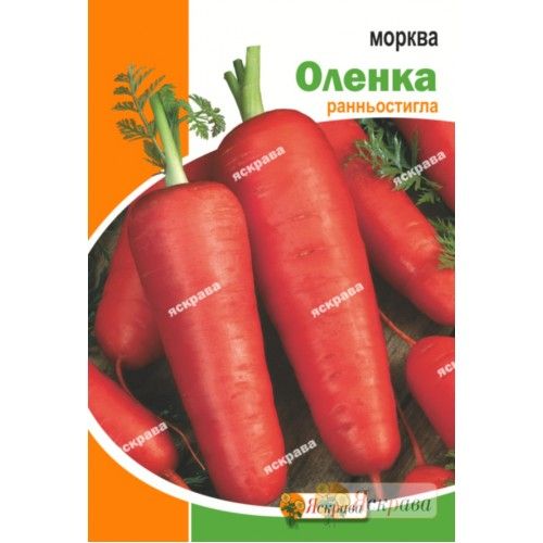 Семена Яскрава морковь Аленка 15г (4823069912291)