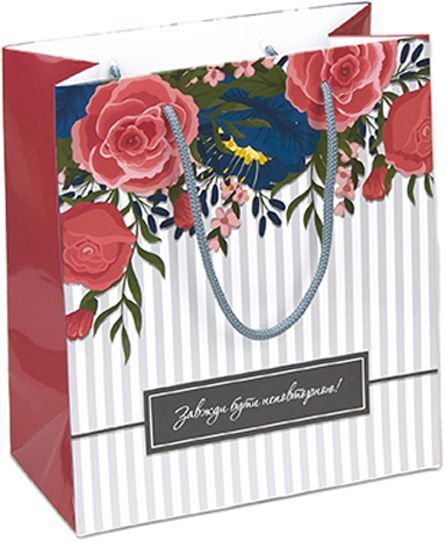 Пакет паперовий Smile 24,5х21,5х11 см