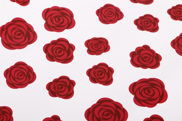 Бумага для упаковки Bourgeois 70x100 см 