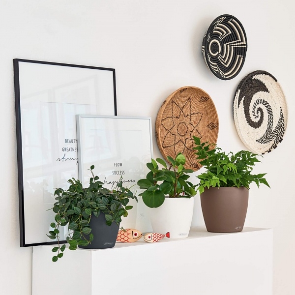 Вазон пластиковый Lechuza CLASSICO Color 18 круглый 2,5л серый (13263) 