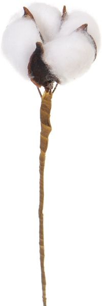 Декорація новорічна Суцвіття бавовни 17х11х6 см 6 шт. EPI-17A3634 