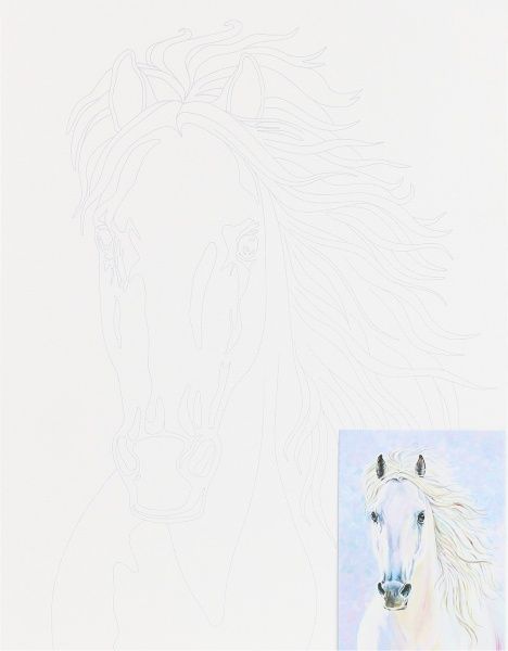 Холст на картоне с контуром Животные № 4 Rosa Talent 