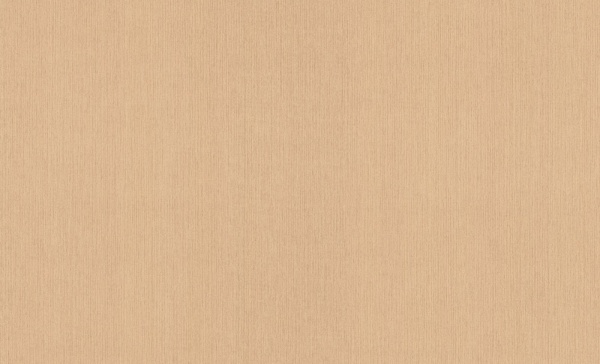 Шпалери вінілові на флізеліновій основі Bravo 81124BR13 1,06x10,05 м 