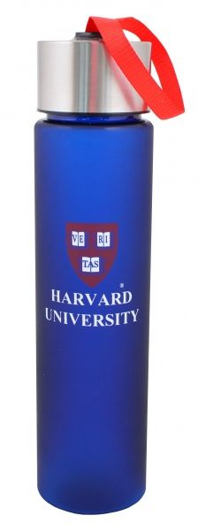 Пляшка 500 мл YES Harvard синій 706027