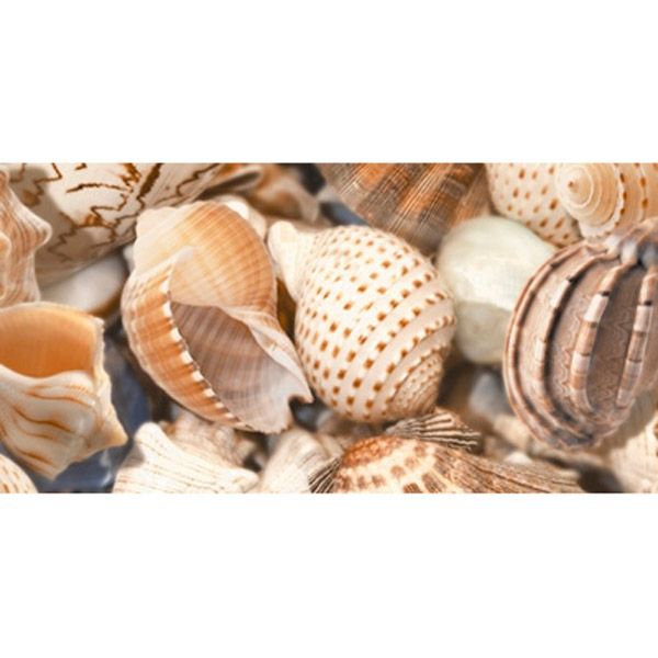 Декор Golden Tile Sea Breeze Shells 2 бежевий Е11421 300x600 мм