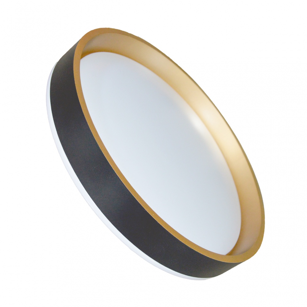 Світильник настінно-стельовий Eurolamp 48 Вт чорний LED-SL-48W-T25(black)