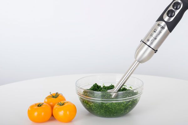 Блендер Ergo EHB 5000 