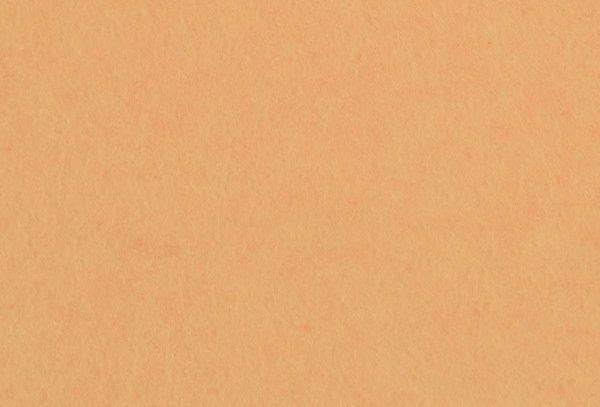 Фетр листовой телесный 165FW-H030 1-1,4 мм, 21,5х28 см