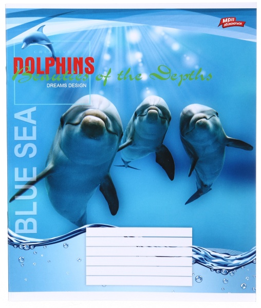 Тетрадь школьная 24 листа в линейку в ассортименте Мечты сбываются