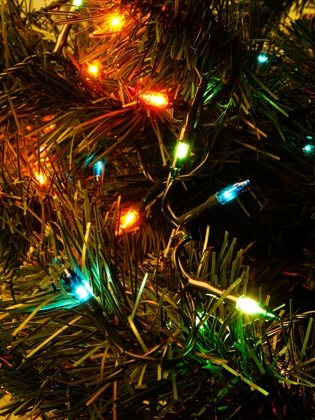 Электрогирлянда линейная SHLigts (ES00100/5F) лампа накаливания 100 ламп 6 м 