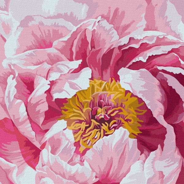 Картина по номерам Красочный пион 40х40 см 40x40 см Идейка 