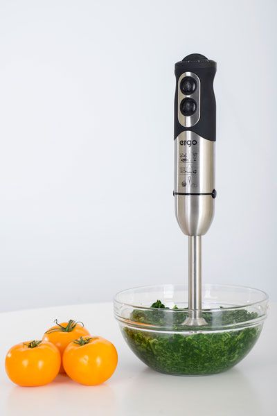 Блендер Ergo EHB 5000 