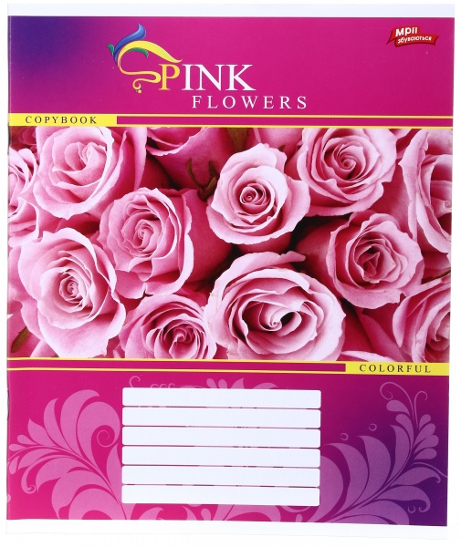 Зошит шкільний 24 аркуша у клітинку в асортименті Мрії збуваються