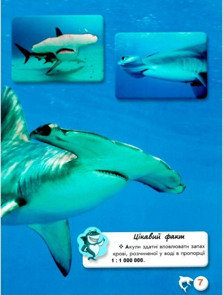 Книга Тамара Протасовицька «Світ навколо нас. Акули» 978-966-936-914-7