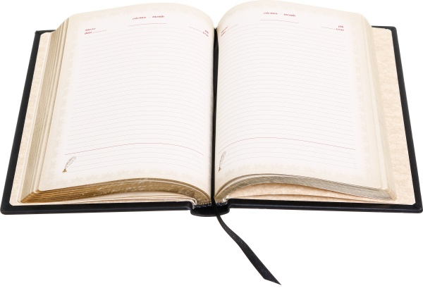 Щоденник недатований з тризубом у калиновому вінку Купола A5 304001069