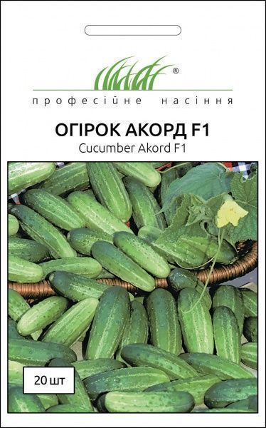 Семена Професійне насіння огурец Акорд F1 20 шт.