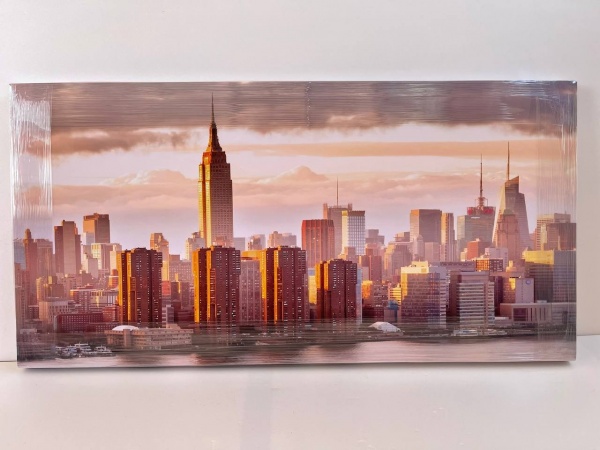 Репродукция Нью-Йорк 50x100 см Арт Фемелі 