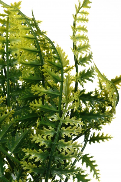 Рослина штучна папороть 50 см