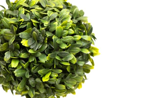 Растение искусственное Самшит в горшочке 20 см 960323 Девилон