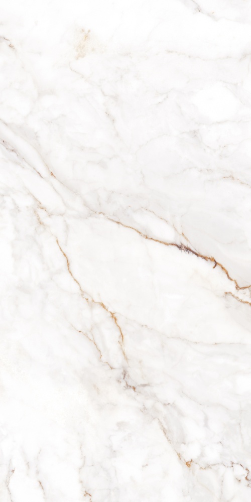 Плитка Allore Group Palazzo White F P R Satin 60x120 см