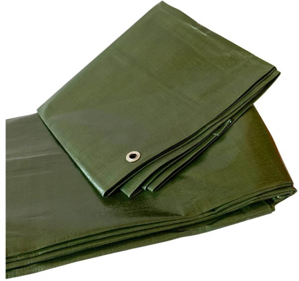 Тент Agreen 200 г/кв. м, 4x6 м темно-зелёный