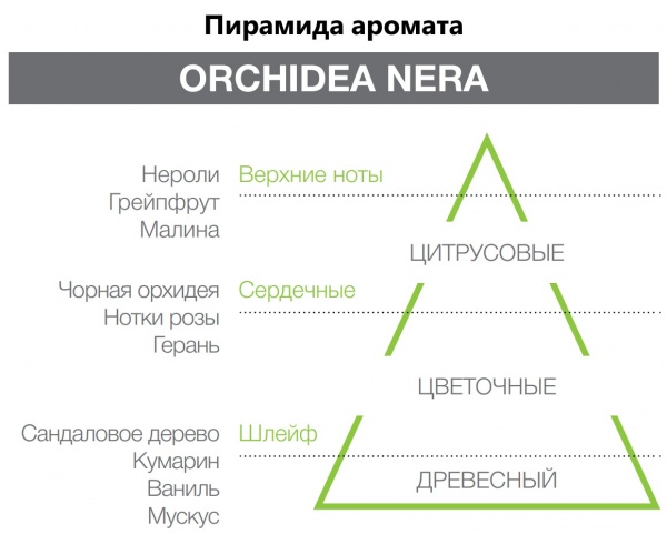 Наполнитель Hypno Casa Orchidea Nera 200 мл 