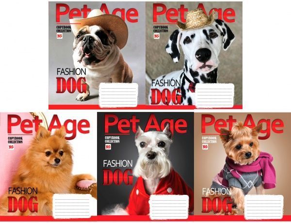 Комплект зошитів Pet Age 36 аркушів в клітинку 15 шт. YES