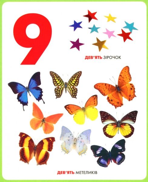 Книга «Книга. Цифри. Моя перша книжка»