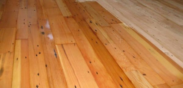 Ґрунтовка Bionic House антисептик з вмістом олії мат 2,8 л