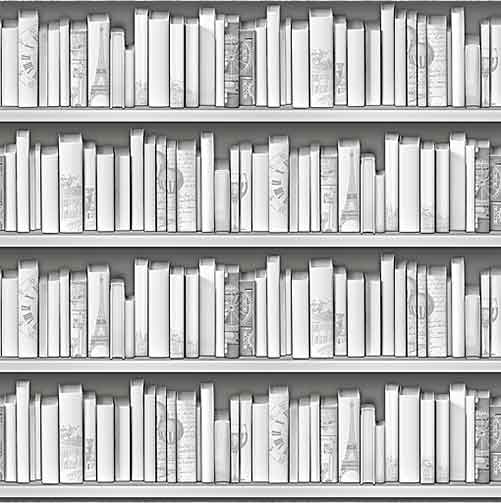 Обои DID Fiesta книги RFE1613-2 