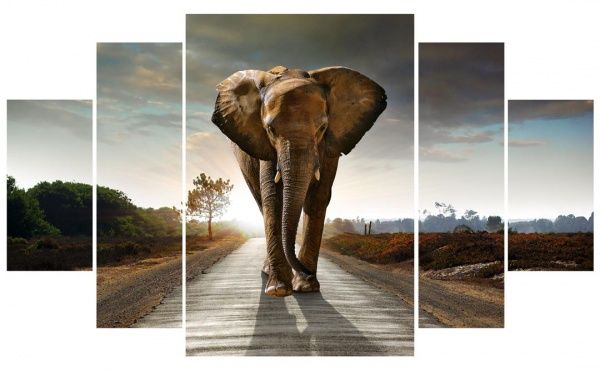 Картина модульная 5 частей MK152 155x65 см 
