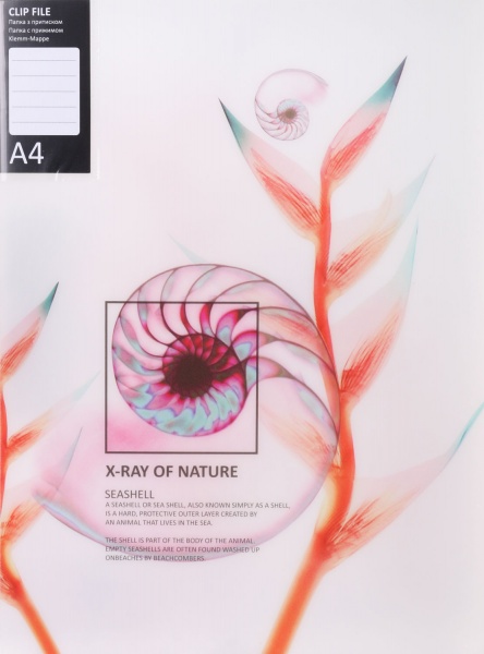 Папка с боковым прижимом Калейдоскоп в ассортименте Optima