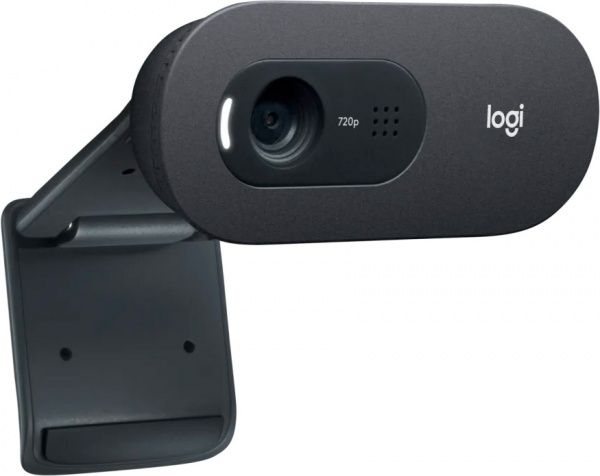 Веб-камера Logitech C505 HD (L960-001364)