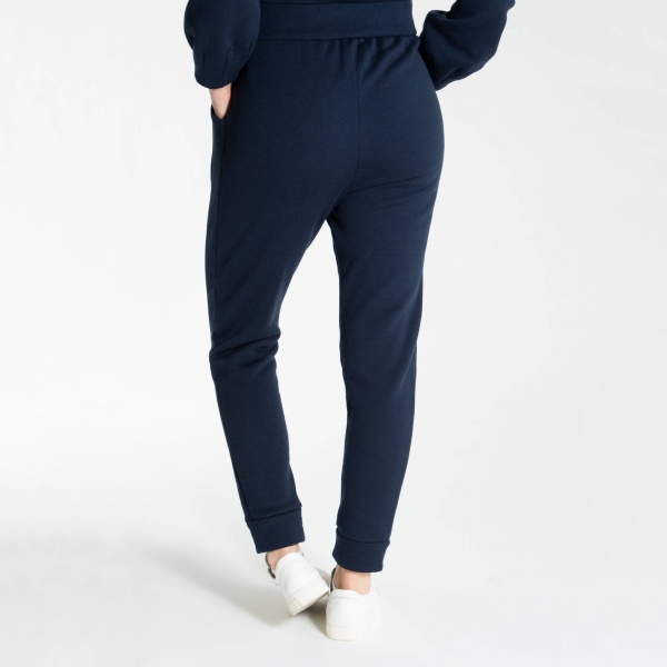 Штани We Norwegians Polar Pants women 1537-60 р. L темно-синій