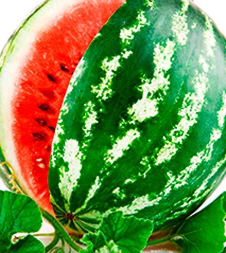 Семена Садовий Світ арбуз Крымсон Свит 2г