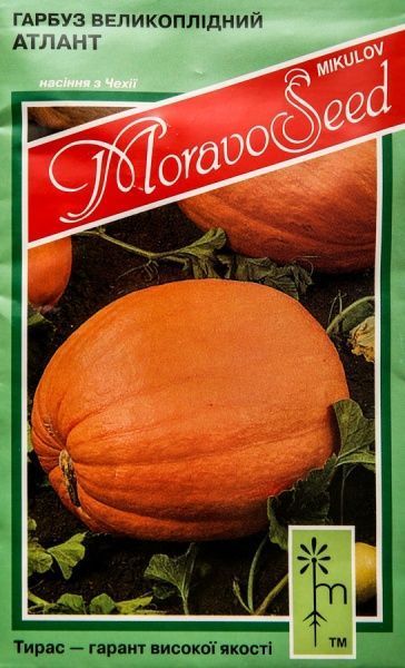 Насіння MoravoSeeds гарбуз Атлант 5г