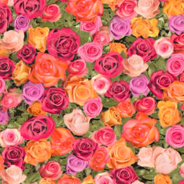 Слов'янські шпалери Expromt B49.4 Розарій 5562-05 0.53x10.05 м