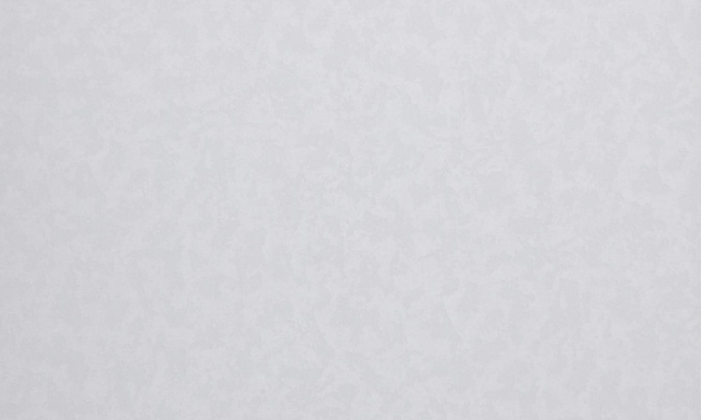 Шпалери вінілові на флізеліновій основі MEGAPOLIS 9181-10 1,06x10,05 м