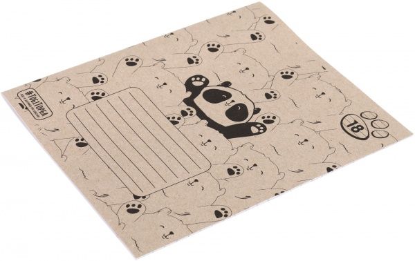 Тетрадь школьная ЕКО 24 листа в клетку Мечты сбываются