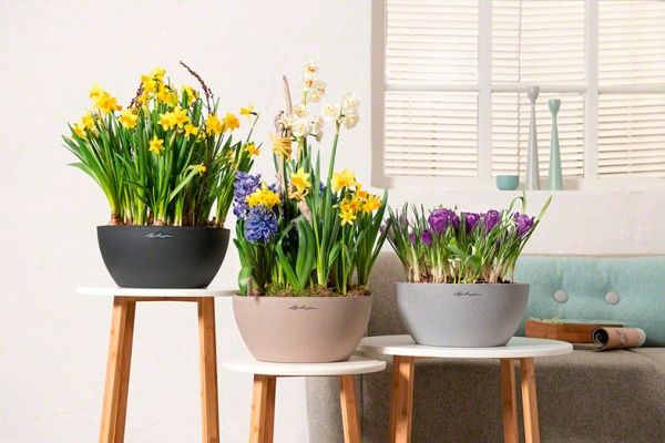 Вазон декоративный Lechuza Cubeto Color 30 круглый 1,6/4,5л светло-бежевый (13831) 