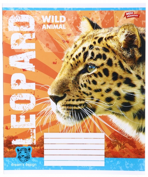 Тетрадь школьная 24 листа в линейку в ассортименте Мечты сбываются