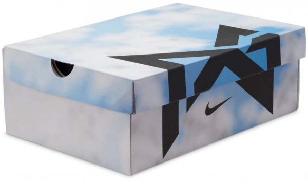 Кроссовки Nike PG 6 DC1974-400 р.49,5 разноцветный