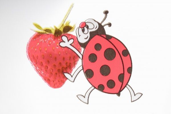 Скатертина Cristal Eco сонечка 140x180 см прозорий із малюнком Gemitex 