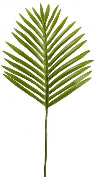 Веточка декоративная Hawaii Palm (DW-35) Engard