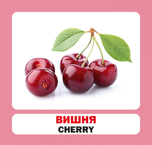 Книга «Навчальний посібник. Ягоды.» 9786177686131