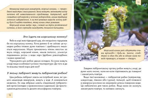 Книга «Домашні улюбленці» 978-617-695-108-7