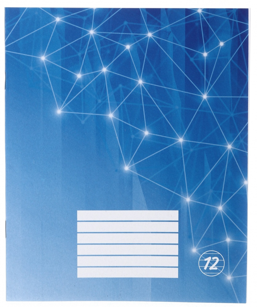 Зошит шкільний 12 аркушів лінія економ 2024 Nota Bene