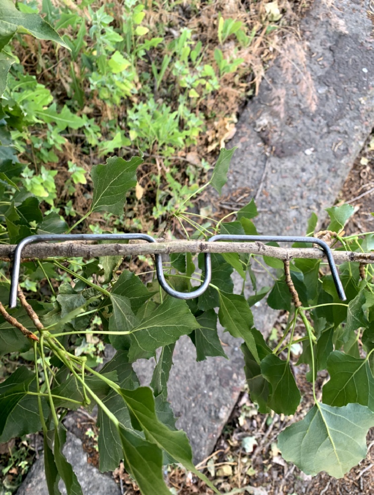 Скоба для фиксации веток L-250 мм 5 шт. оцинкованные