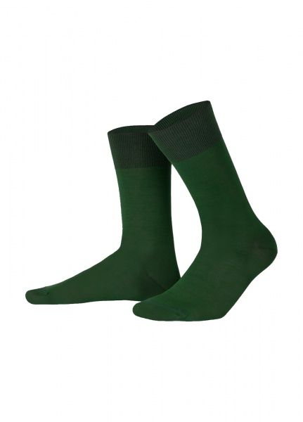 Шкарпетки чоловічі Feeelings р. 41-43 темно-зелений 1 пар 700 41-43 361 